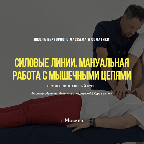 [Станислав Черноног] Силовые линии. Мануальная работа с мышечными цепями (2023) [Школа векторного массажа и соматики] 