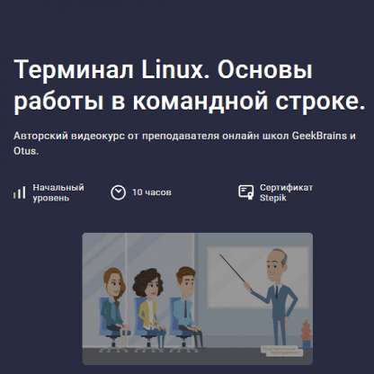 [Stepik] Терминал Linux. Основы работы в командной строке (2024)