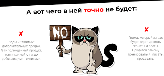 [Светлана Афанасьева] Cкорая помощь когда нет продаж (2021)