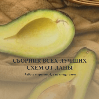 [Светлана Литвиненко] Сборник всех лучших схем (2025)