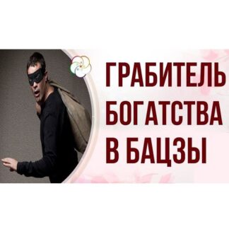 [Светлана Мостовская] Грабитель богатства враг или скрытый ресурс (2026)