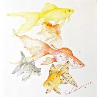 [Таша Габеева] Золотые рыбки (2024) [enterclass]