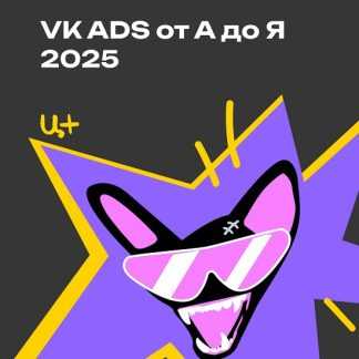 [Церебро Таргет] VK ADS от А до Я (2025)