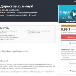 [Udemy] Яндекс Директ за 95 минут (2018)
