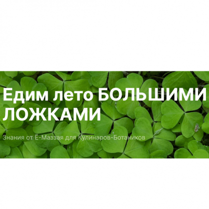 [Валерий Коршунов] Курс по дикоросам Едим лето большими ложками (2024) [Ё-Маззай]