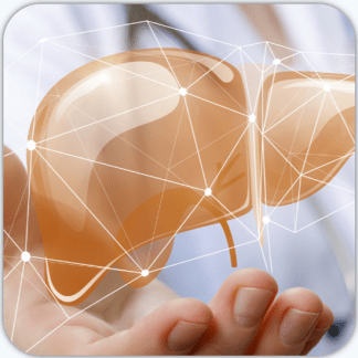 [Валерий Подрубаев] Печень забита жиром — как остановить тихого убийцу (2025) [Humberto 2.0]