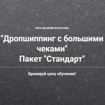 [Василий Белоусов] Дропшиппинг с большими чеками (пакет Стандарт) (2019)