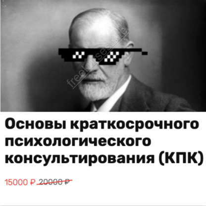 [Василий Смирнов] Основы краткосрочного психологического консультирования (2024) [КПК]