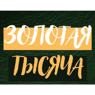 [Василина Баранова] Золотая тысяча. Том 8 (2025) [vasilinfo]