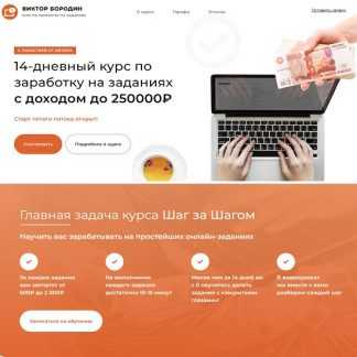 [Виктор Бородин] 14-дневный курс по заработку на заданиях с доходом до 250000₽ (2023)