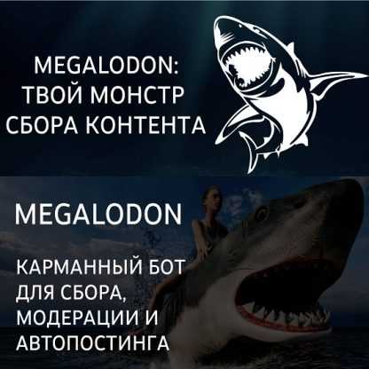 [VK-TG] Megalodon Bot nztcoder наполнение тг-каналов твой монстр для сбора и постинга контента (2022)