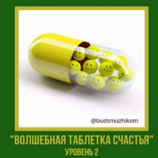 [Владимир Баранов] Волшебная таблетка счастья (уровень 2) Будь с мужиком (2025) [Школа Адекватной Женщины]