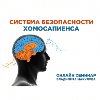 [Владимир Макулов] Система безопасности хомосапиенса (2024)