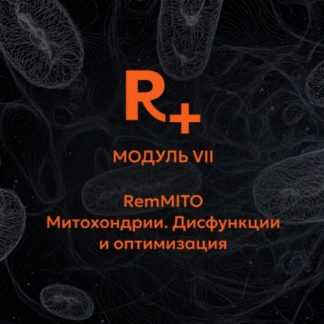 [Владимир Попов] R+. Модуль 7. РемМИТО (RemMITO) . Митохондрии. Дисфункции и оптимизация (2026) [Remee+]