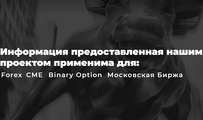 [VolGor] Торговля на бирже (2019)