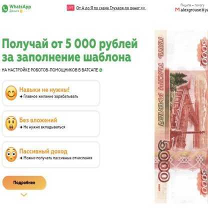 WhatsApp Money-Получай от 5 000 рублей за заполнение шаблона (2019)