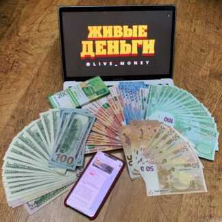 [Живые Деньги] Заработок на серых каналах YouTube (Обновлённый курс) (2019)