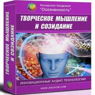 [ZvukoM] Творческое мышление и созидание (2019)
